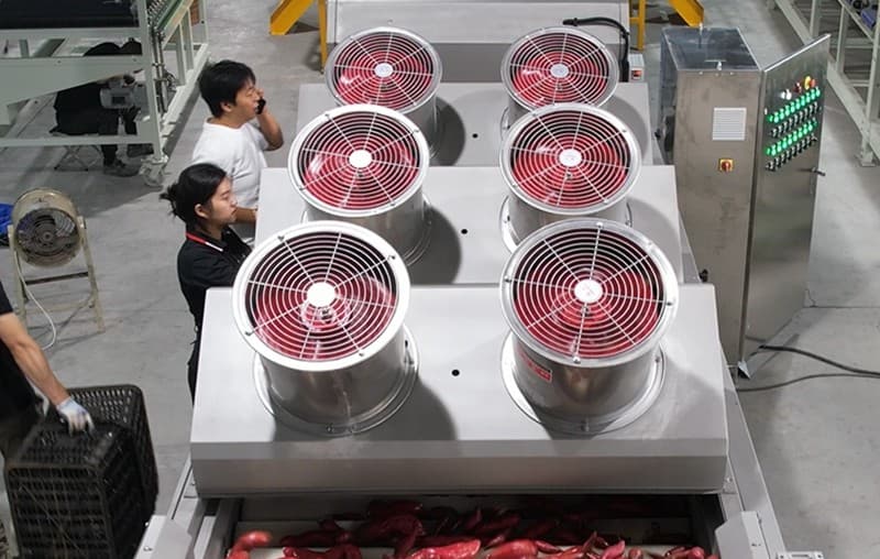 images/1686912310094sweet potato washing dryin g sorting line.jpg